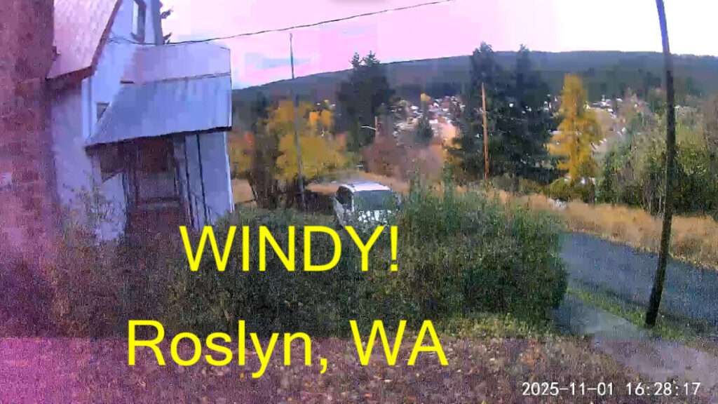 roslyn wa wind gust nov 2025