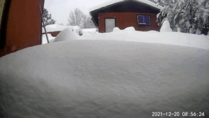 roslyn window snow dec 2021 animation